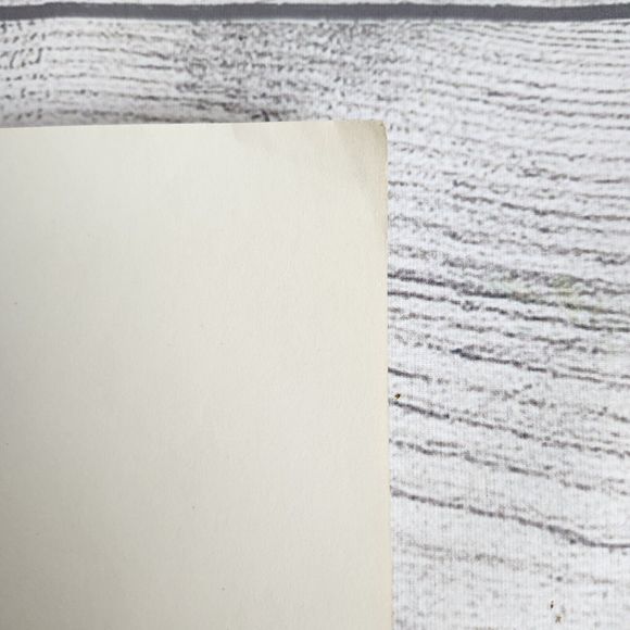 Vtg 1940s George Petty Ziegfeld Follies Pinup Girl Art Print 8.5x11 Tailcoat Hat - Picture 7 of 11